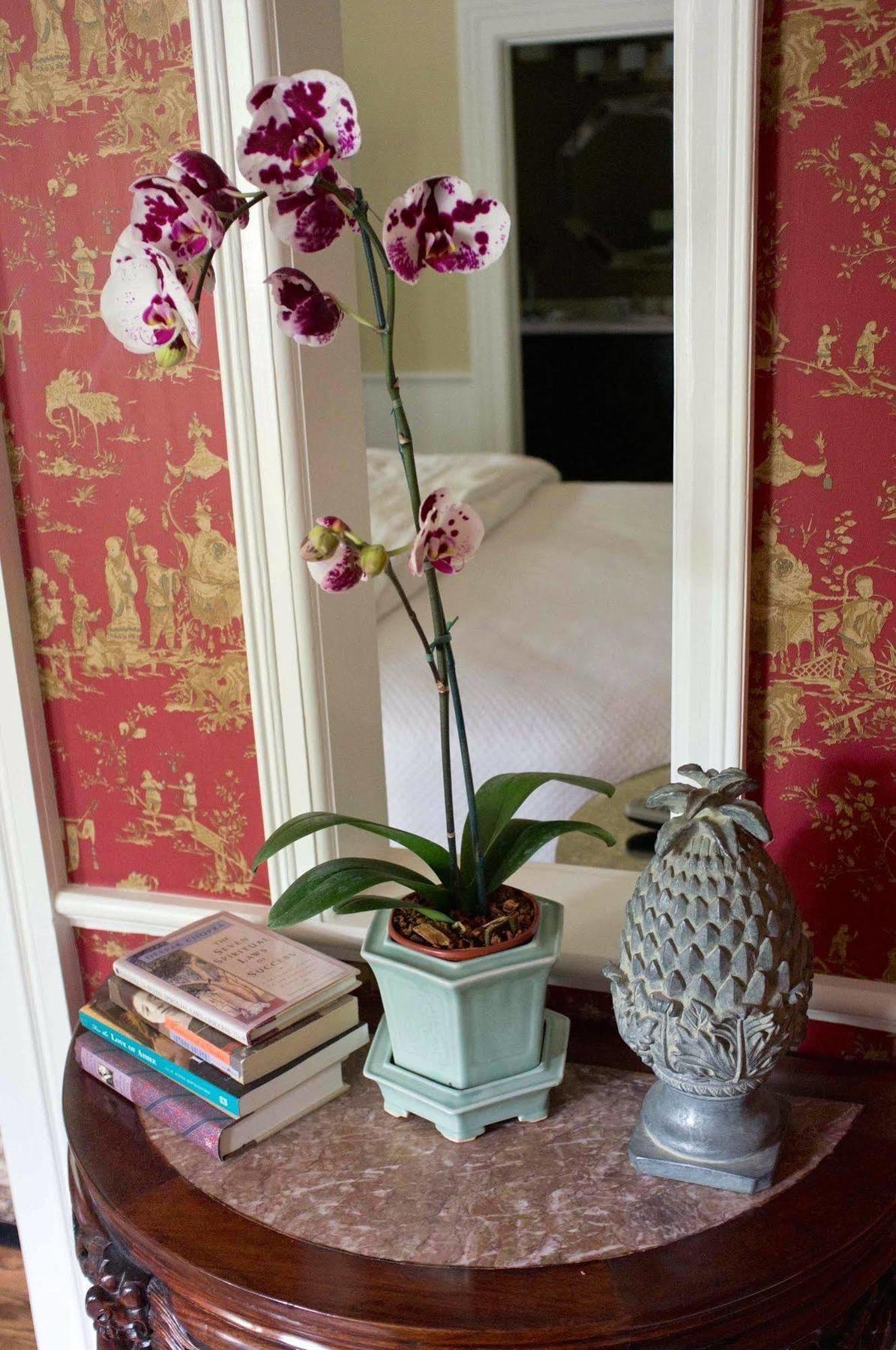 Embrace Calistoga Bed and Breakfast Buitenkant foto